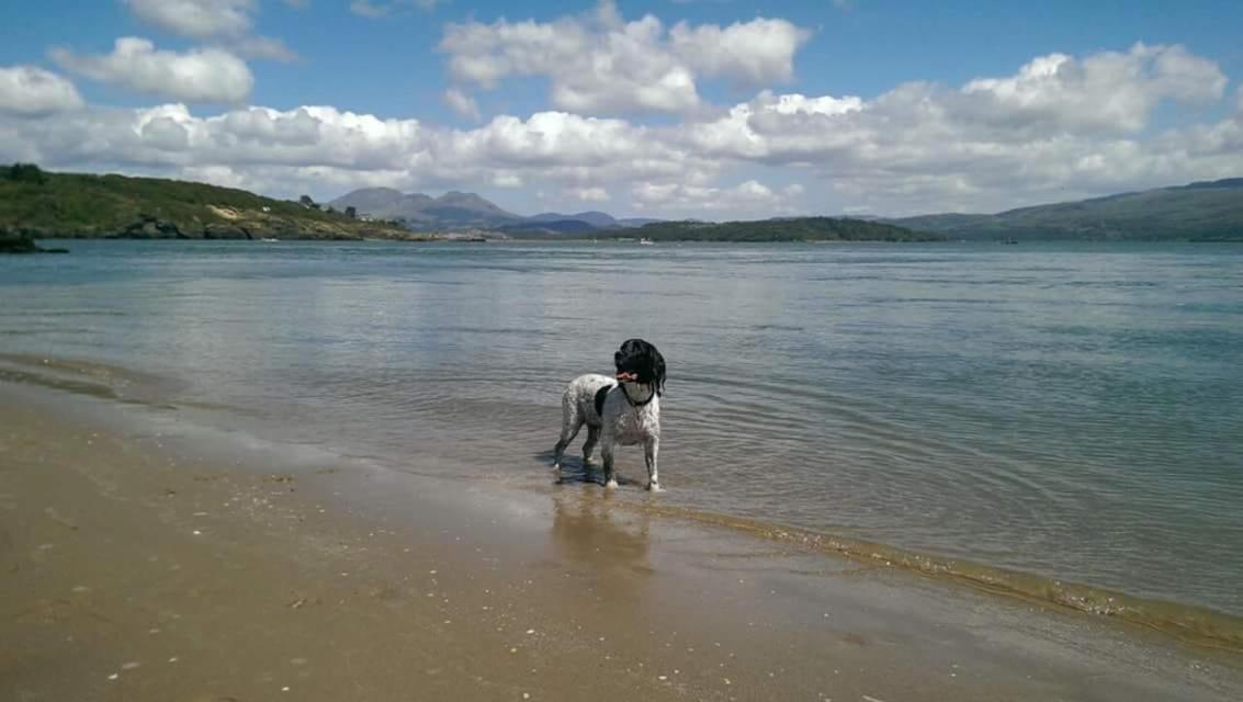 89 Lower Lakeside - Glan Gwna Holiday Park Caernarfon Buitenkant foto