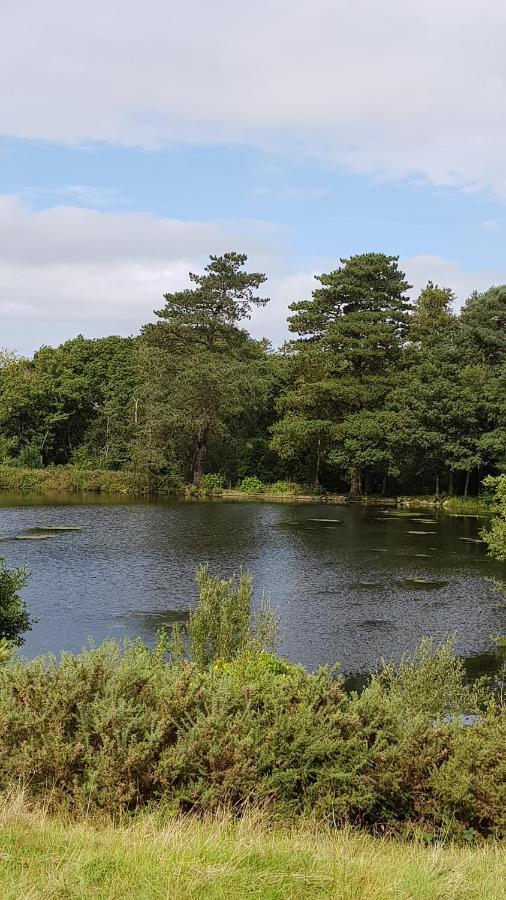 89 Lower Lakeside - Glan Gwna Holiday Park Caernarfon Buitenkant foto